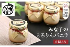 佐賀の人妻プリン【子供に食べさせたいプリン】みな子のとろりんバニラ6個詰合せ【プリン デザート おやつ お土産 手土産 ふるさと納税】(H034112)