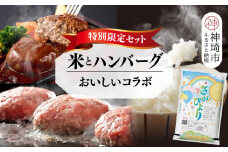 【2回定期便】特別限定セット さがびよりと佐賀牛ハンバーグ おいしいコラボ【米 ブランド米 肉 牛肉 ブランド牛 ハンバーグ お手軽】(H996P107)