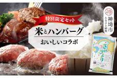 【2回定期便】特別限定セット さがびよりと佐賀牛ハンバーグ おいしいコラボ【米 ブランド米 肉 牛肉 ブランド牛 ハンバーグ お手軽】(H996P110)