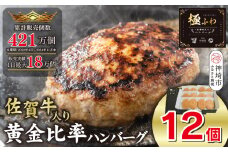 佐賀牛入りハンバーグ 120g×12個【佐賀牛 国産 冷凍】(H083104)