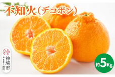 【2026年1月中旬より発送開始】不知火(デコポン) 約5kg【みかん 柑橘 清美 ポンカン フルーツ デザート】(H116137)