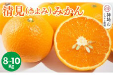 【2026年3月中旬より発送開始】清見(きよみ)みかん 8kg～10kg【みかん オレンジ 柑橘 フルーツ デザート】(H116139)