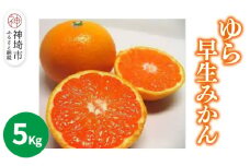 【2025年9月下旬より発送開始】ゆら早生みかん 5kg【みかん 柑橘 フルーツ デザート】(H116140)