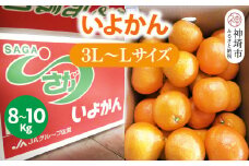 【2026年1月上旬より発送開始】いよかん 8～10kg(3L～Lサイズ)【みかん 柑橘 フルーツ デザート】(H116141)
