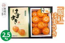 【2026年2月上旬より発送開始】【麗紅】はまさき 2.5kg【みかん 一級品 柑橘 フルーツ デザート】(H116144)