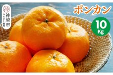 【2026年1月上旬より発送開始】ポンカン 10kg【みかん 柑橘 フルーツ デザート 貯蔵 高糖度】(H116147)