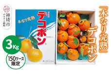 【2026年3月中旬より発送開始】【木なり完熟】デコポン 3kg 150ケース限定【みかん 柑橘 清美 ポンカン フルーツ デザート】(H116148)