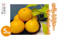 【2026年3月中旬より発送開始】さがんルビー 5kg(グレープフルーツ)【柑橘 フルーツ デザート ジューシー リフレッシュ】(H116149)