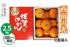 【2025年12月上旬より発送開始】西南の光 2.5kg(化粧箱入り)【みかん 柑橘 フルーツ デザート βクリプトキサンチン 手土産】(H116150)