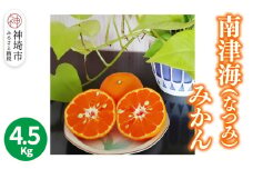 【2026年4月上旬より発送開始】南津海(なつみ)みかん 4.5kg【みかん 柑橘 オレンジ ポンカン フルーツ デザート 果汁】(H116156)