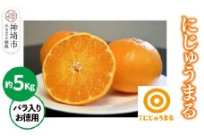 【2026年3月上旬より発送開始】にじゅうまる 約5kg バラ入りお徳用【佐賀県 みかん 柑橘 果物 くだもの フルーツ】(H116162)