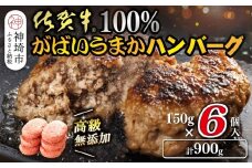 佐賀牛100％がばいうまかハンバーグ(150g×6個)【佐賀県産 国産 佐賀牛 肉 お肉 牛肉 冷凍 無添加 個包装】(H118101)