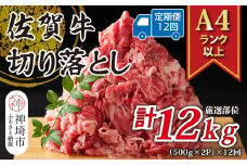 【12か月定期便】艶さし！【A4～A5】佐賀牛切り落とし 1kg(500g×2P)×12回【肉 牛肉 ブランド牛 黒毛和牛 ふるさと納税】(H112180)