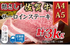 【12か月定期便】艶さし！【A4～A5】佐賀牛サーロインステーキ 250g(250g×1枚)×12回【肉 牛肉 ブランド牛 黒毛和牛 ステーキ肉 ふるさと納税】(H112192)