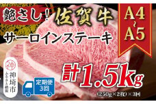 【3か月定期便】艶さし！【A4～A5】佐賀牛サーロインステーキ 500g(250g×2枚)×3回【肉 牛肉 ブランド牛 黒毛和牛 ステーキ肉 ふるさと納税】(H112193)