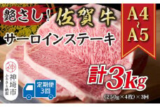 【3か月定期便】艶さし！【A4～A5】佐賀牛サーロインステーキ 1kg(250g×4枚)×3回【肉 牛肉 ブランド牛 黒毛和牛 ステーキ肉 ふるさと納税】(H112196)