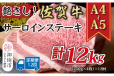 【12か月定期便】艶さし！【A4～A5】佐賀牛サーロインステーキセット 1kg(250g×4枚)×12回【肉 牛肉 ブランド牛 黒毛和牛 ステーキ肉 ふるさと納税】(H112198）