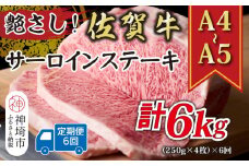 【6か月定期便】艶さし！【A4～A5】佐賀牛サーロインステーキセット 1kg(250g×4枚)×6回【肉 牛肉 ブランド牛 黒毛和牛 ステーキ肉 ふるさと納税】(H112197)