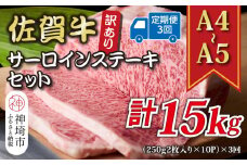 【3か月定期便】訳あり！【A4～A5】佐賀牛サーロインステーキセット 5kg(250g2枚入り×10p)×3回【肉 牛肉 ブランド牛 黒毛和牛 ふるさと納税】(H112220)