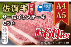 【12か月定期便】訳あり！【A4～A5】佐賀牛サーロインステーキセット 5kg(250g2枚入り×10P)×12回【肉 牛肉 ブランド牛 黒毛和牛 ふるさと納税】(H112222)