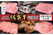 【奇数月発送 全6回定期便】ALL佐賀牛定期便【サーロインステーキ 赤身焼き肉 ハンバーグ カルビ焼肉 100%ハンバーグ ロースステーキ バラエティ豊か】(H118111)