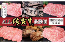 【偶数月発送 全6回定期便】ALL佐賀牛定期便【サーロインステーキ 赤身焼き肉 ハンバーグ カルビ焼肉 100%ハンバーグ ロースステーキ バラエティ豊か】(H118112)