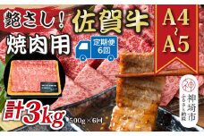 【6か月定期便】艶さし！【A4～A5】佐賀牛焼肉用 500g×6回【肉 牛肉 ブランド牛 黒毛和牛 ふるさと納税】(H112167)