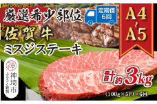 【6か月定期便】【厳選希少部位】【A4～A5】佐賀牛ミスジステーキ 約500g(100g×5P)×6回【肉 牛肉 ブランド牛 黒毛和牛 ステーキ肉 ふるさと納税】(H112263)