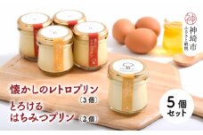 【えこびと】懐かしのレトロプリン・とろけるはちみつプリン5個セット【スイーツ プリン プリン県佐賀 プリンマップ】(H037138)
