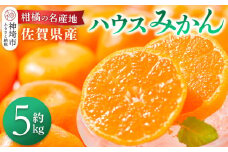 佐賀県産『ハウスみかん』約5000g【果物 フルーツ みかん 柑橘 ビタミン デザート ふるさと納税】(H108116)