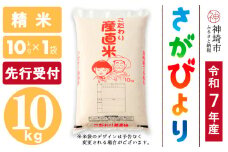 【令和7年産 新米先行受付】さがびより 精米 10kg【さがびより 精米 10kg お米 おいしい ランキング 人気 国産 佐賀県産 ブランド 地元農家】(H061646)