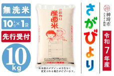 【令和7年産 新米先行受付】さがびより 無洗米 10kg【さがびより 無洗米 10kg お米 おいしい ランキング 人気 国産 佐賀県産 ブランド 地元農家】(H061664)