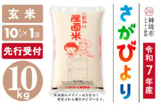 【令和7年産 新米先行受付】さがびより 玄米 10kg【さがびより 玄米 10kg お米 おいしい ランキング 人気 国産 佐賀県産 ブランド 地元農家】(H061658)