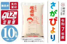 【令和7年産 新米先行受付】さがびより 無洗米 10kg【12ヶ月定期便】【さがびより 無洗米 10kg お米 おいしい ランキング 人気 国産 佐賀県産 ブランド 地元農家】(H061669)