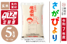 【令和7年産 新米先行受付】さがびより 玄米 5kg【12ヶ月定期便】【さがびより 玄米 5kg お米 おいしい ランキング 人気 国産 佐賀県産 ブランド 地元農家】(H061705)