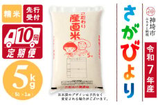 【令和7年産 新米先行受付】さがびより 精米 5kg【10ヶ月定期便】【さがびより 精米 5kg お米 おいしい ランキング 人気 国産 佐賀県産 ブランド 地元農家】(H061698)