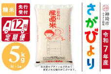 【令和7年産 新米先行受付】さがびより 精米 5kg【12ヶ月定期便】【さがびより 精米 5kg お米 おいしい ランキング 人気 国産 佐賀県産 ブランド 地元農家】(H061699)