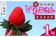 【令和8年1月中旬より順次発送】いちごさん 4パック 約1kg 【いちご イチゴ 苺 佐賀県 甘い フルーツ 果物  国産 お祝い 贈り物】(H098107)