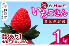 【令和8年1月中旬より順次発送】【訳あり】いちごさん 約1kg (小玉不揃い混合)  【訳あり いちご イチゴ 苺 佐賀県 甘い フルーツ 果物 国産】(H098108)