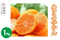 【2026年6月上旬より発送開始】ハウスみかん 1kg【みかん 冷凍みかん 柑橘 フルーツ デザート】(H116138)