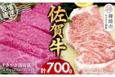 佐賀牛 サーロインステーキ200g×1枚計200g すきやき用切落250g×2パック計500g【佐賀牛 サーロイン ステーキ すきやき 切落し 高級部位 赤身肉 霜降り 小分け】(H122126)