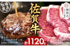 佐賀牛 サーロインステーキ200g×3枚計600g 柔らかハンバーグステーキ130g×4個計520g【佐賀牛 サーロイン ステーキ ハンバーグ 高級部位 赤身肉 霜降り】(H122127)