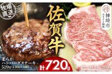 佐賀牛 サーロインステーキ200g×1枚計200g 柔らかハンバーグステーキ130g×4個計520g【佐賀牛 サーロイン ステーキ ハンバーグ 高級部位 赤身肉 霜降り】(H122129)