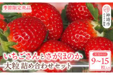 【先行受付 令和8年1月下旬より発送開始】いちごさん さがほのか 大玉いちごセット 9粒から15粒（約350g）【果物 いちご 苺 いちごさん さがほのか】(H101101)