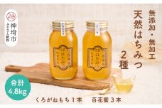 国産はちみつ(神埼産)百花蜜1.2kg×3・くろがねもち1.2kg×1 【贈り物 黄金色 自家製 疲労回復 美容 栄養 花の蜜 純粋 九州産】(H050126)