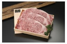 佐賀牛ロースステーキ 600g(200g×3枚)【アスタラビスタ】[FAM002]