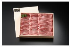 とろける美味しさ 佐賀牛肩ローススライス 500g【アスタラビスタ】[FAM003]