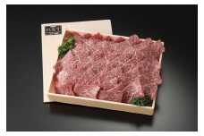 とろける美味しさ 佐賀牛ももカルビ焼肉用 500g【アスタラビスタ】[FAM004]
