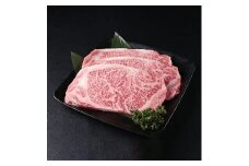 佐賀牛サーロインステーキ750g(250g×3枚)【plan】[FBF004]