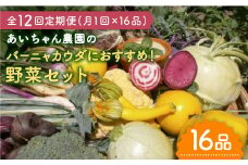 【16品×12回定期便】「バーニャカウダなどに♪」農薬に頼らない！カラダにやさしいお野菜の詰め合わせ【吉野ヶ里あいちゃん農園】[FAA034]